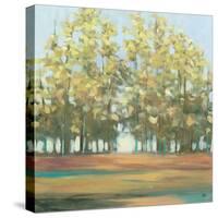 Aspen Grove I-Julia Purinton-Stretched Canvas