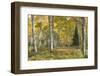 Aspen Grove I-Danny Head-Framed Photographic Print