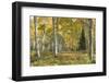 Aspen Grove I-Danny Head-Framed Photographic Print