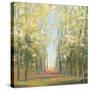 Aspen Grove II-Julia Purinton-Stretched Canvas