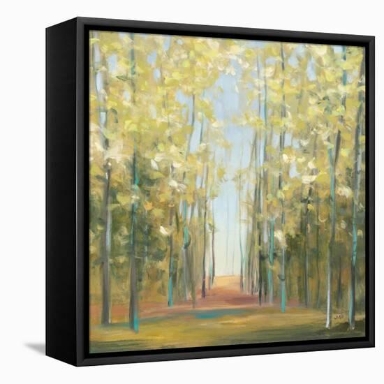 Aspen Grove II-Julia Purinton-Framed Stretched Canvas