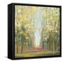 Aspen Grove II-Julia Purinton-Framed Stretched Canvas