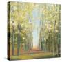 Aspen Grove II-Julia Purinton-Stretched Canvas