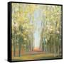 Aspen Grove II-Julia Purinton-Framed Stretched Canvas