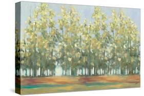 Aspen Grove III-Julia Purinton-Stretched Canvas