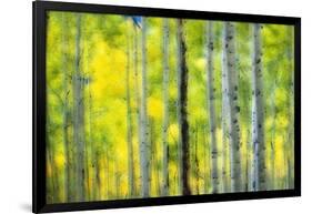 Aspen Grove in Autumn-Darrell Gulin-Framed Photographic Print