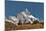 Aspen grove in front of Teton Range, Grand Teton National Park.-Adam Jones-Mounted Photographic Print