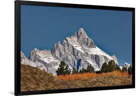 Aspen grove in front of Teton Range, Grand Teton National Park.-Adam Jones-Framed Photographic Print