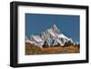 Aspen grove in front of Teton Range, Grand Teton National Park.-Adam Jones-Framed Photographic Print