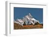 Aspen grove in front of Teton Range, Grand Teton National Park.-Adam Jones-Framed Photographic Print