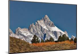 Aspen grove in front of Teton Range, Grand Teton National Park.-Adam Jones-Mounted Photographic Print