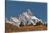 Aspen grove in front of Teton Range, Grand Teton National Park.-Adam Jones-Stretched Canvas