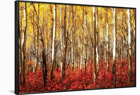 Aspen Grove - Red-null-Framed Poster