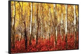 Aspen Grove - Red-null-Framed Poster