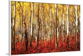 Aspen Grove - Red-null-Framed Poster