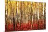 Aspen Grove - Red-null-Mounted Poster