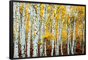 Aspen Grove - Yellow-null-Framed Poster