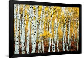 Aspen Grove - Yellow-null-Framed Poster