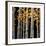 Aspen Grove-Michael O'Toole-Framed Giclee Print