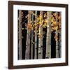 Aspen Grove-Michael O'Toole-Framed Giclee Print