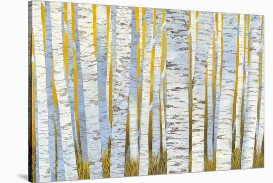 Aspen Grove-Kathrine Lovell-Stretched Canvas