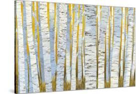 Aspen Grove-Kathrine Lovell-Stretched Canvas