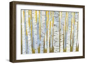 Aspen Grove-Kathrine Lovell-Framed Art Print