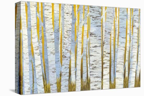 Aspen Grove-Kathrine Lovell-Stretched Canvas