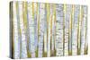 Aspen Grove-Kathrine Lovell-Stretched Canvas