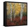 Aspen in autumn at Uinta National Forest-Micha Pawlitzki-Framed Stretched Canvas