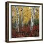 Aspen in autumn at Uinta National Forest-Micha Pawlitzki-Framed Premium Photographic Print