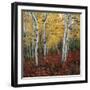 Aspen in autumn at Uinta National Forest-Micha Pawlitzki-Framed Premium Photographic Print