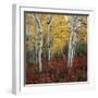 Aspen in autumn at Uinta National Forest-Micha Pawlitzki-Framed Premium Photographic Print