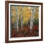 Aspen in autumn at Uinta National Forest-Micha Pawlitzki-Framed Photographic Print