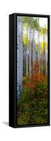 Aspen in the Day I-Kathy Mansfield-Framed Stretched Canvas