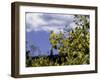 Aspen Leaves in Fall, Boulder-Michael Brown-Framed Photographic Print