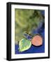 Aspen Leaves on Rush Creek with Reflection, CA-David Carriere-Framed Photographic Print