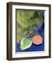 Aspen Leaves on Rush Creek with Reflection, CA-David Carriere-Framed Photographic Print