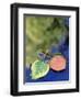 Aspen Leaves on Rush Creek with Reflection, CA-David Carriere-Framed Photographic Print