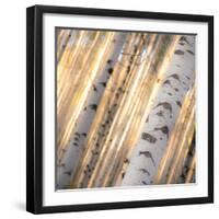 Aspen Light-Dan Ballard-Framed Photographic Print