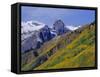 Aspen Pines and Snowy Peaks,San Juan Skyway, Colorado, USA-Jean Brooks-Framed Stretched Canvas