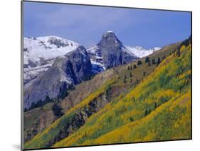 Aspen Pines and Snowy Peaks,San Juan Skyway, Colorado, USA-Jean Brooks-Mounted Photographic Print