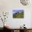 Aspen Pines and Snowy Peaks,San Juan Skyway, Colorado, USA-Jean Brooks-Photographic Print displayed on a wall