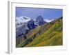 Aspen Pines and Snowy Peaks,San Juan Skyway, Colorado, USA-Jean Brooks-Framed Photographic Print