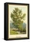 Aspen Poplar-W.h.j. Boot-Framed Stretched Canvas