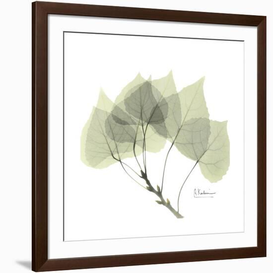 Aspen Portrait-Albert Koetsier-Framed Premium Giclee Print