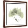 Aspen Portrait-Albert Koetsier-Framed Premium Giclee Print