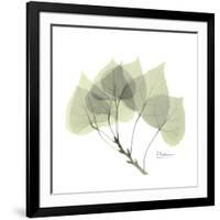 Aspen Portrait-Albert Koetsier-Framed Premium Giclee Print