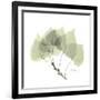 Aspen Portrait-Albert Koetsier-Framed Premium Giclee Print