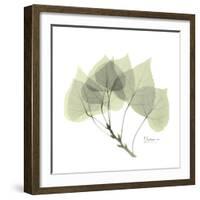 Aspen Portrait-Albert Koetsier-Framed Premium Giclee Print